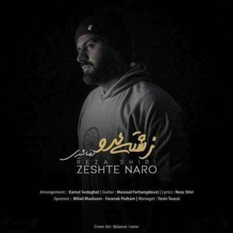 رضا شیری زشته نرو