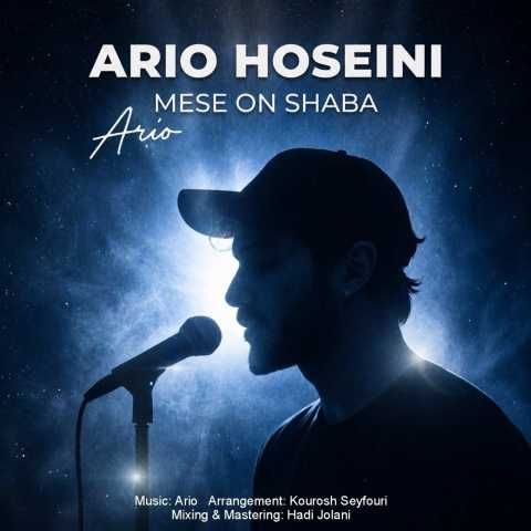 آریو حسینی مثه اون شبا